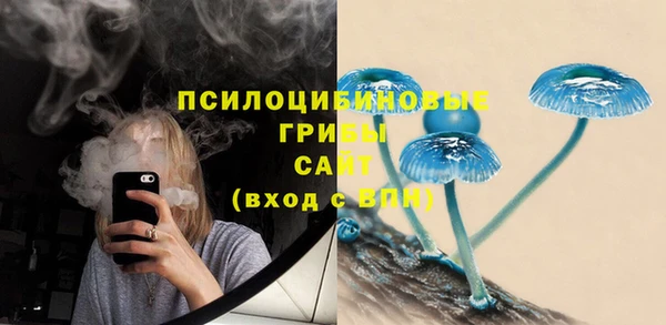 спиды Абаза