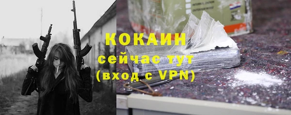 индика Абдулино