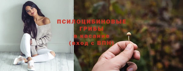 твердый Алзамай