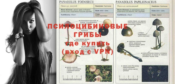 спиды Абаза
