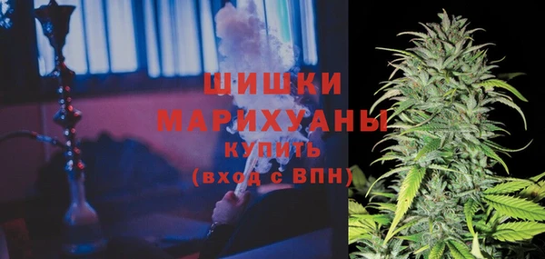 jwh Гатчина