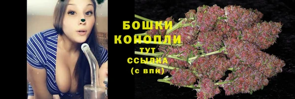 спиды Абаза