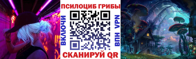 наркотики  Уварово  Псилоцибиновые грибы мицелий 
