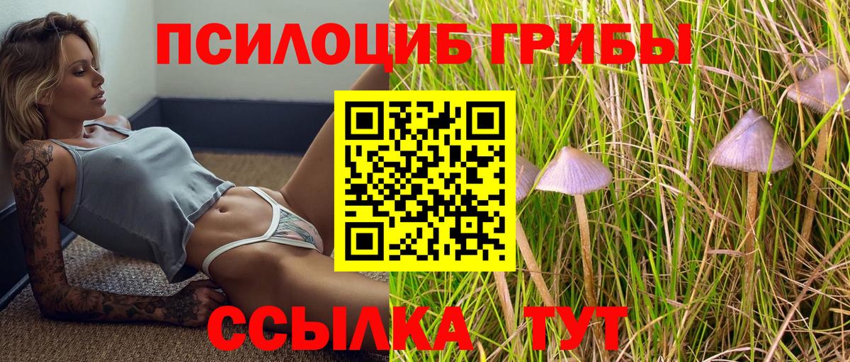 Галлюциногенные грибы GOLDEN TEACHER  Псилоцибиновые грибы Magic Shrooms  Вход с VPN  Уварово 