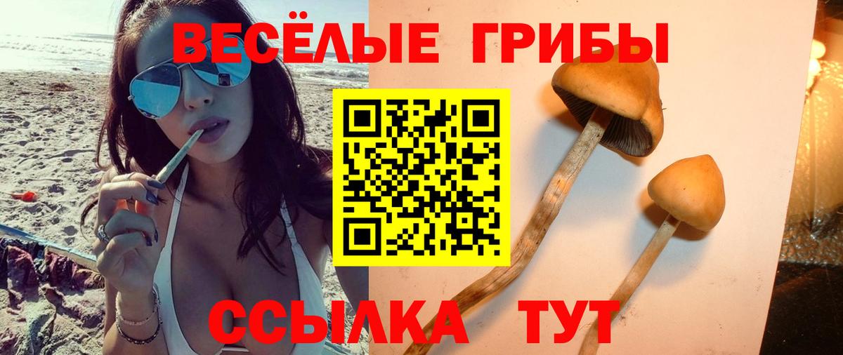 Галлюциногенные грибы мухоморы Уварово
